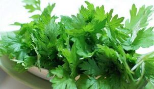 chữa thoái hoá xương khớp