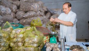 Kế thừa nhân đời thứ 20 Trần Văn Nhi